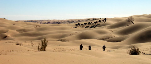 Si petits au milieu des sables...