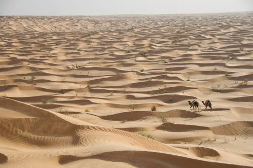 Cela peut paraître étrange mais si les dunes se succèdent, elles ne se ressemblent pas. 