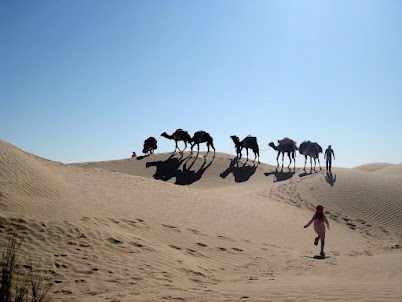 Les enfants ont adoré le voyage, nous aussi....