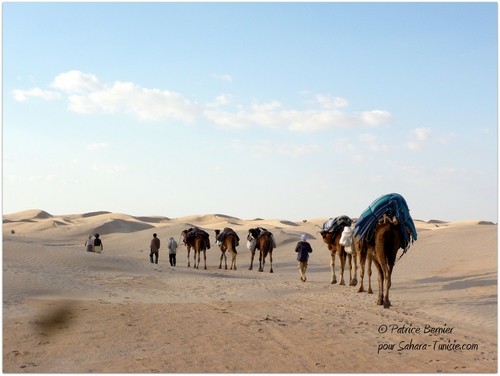 Quand vous entrez dans le Sahara vous découvrez une terre inconnue...
