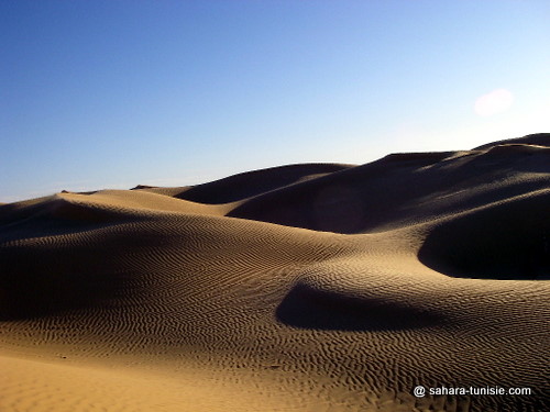 sahara tunisie