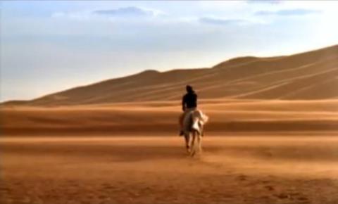 randonnee equestre a cheval