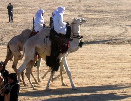 festival de douz mehari